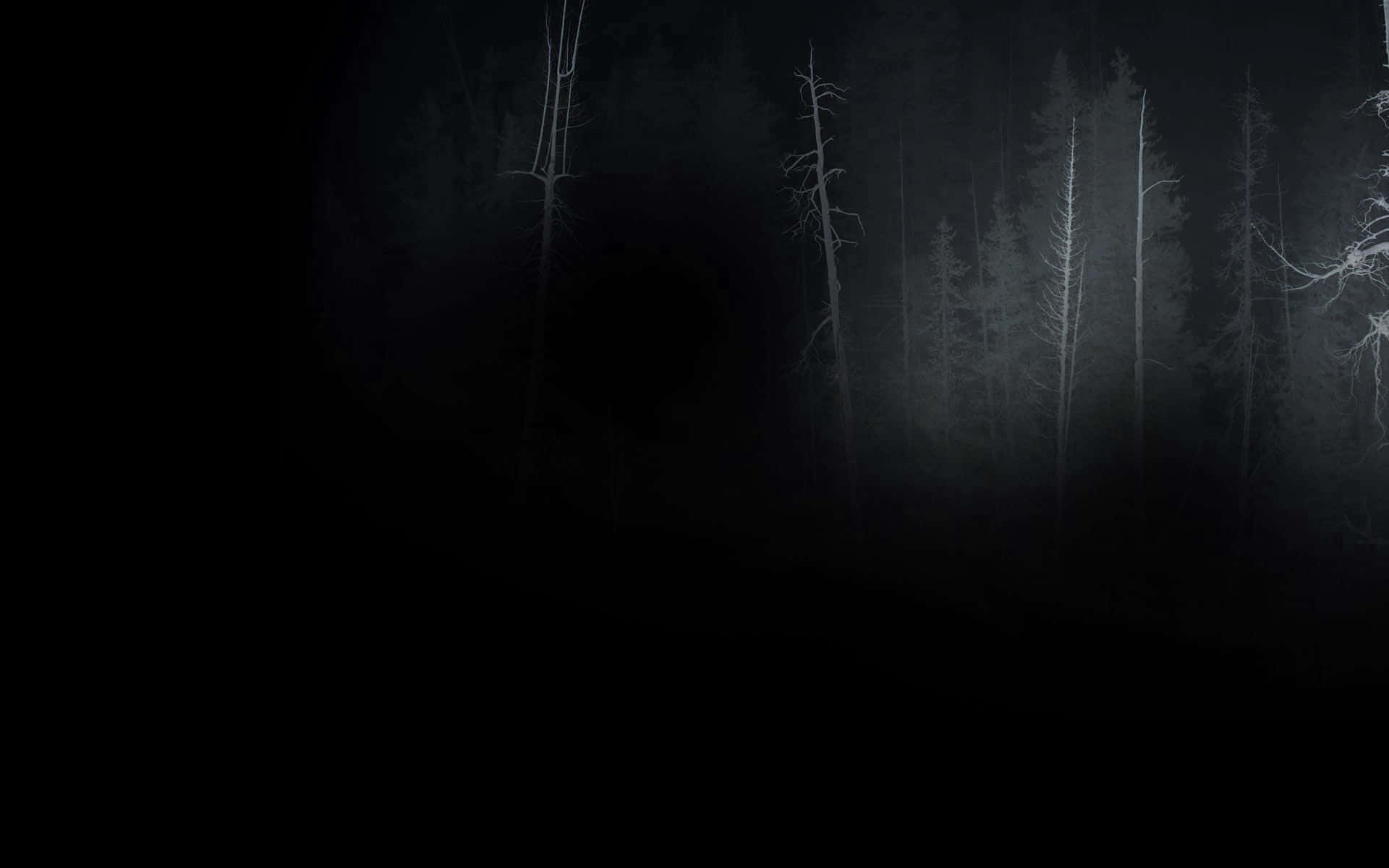 Eerie_ Forest_ Night_ Scene Wallpaper
