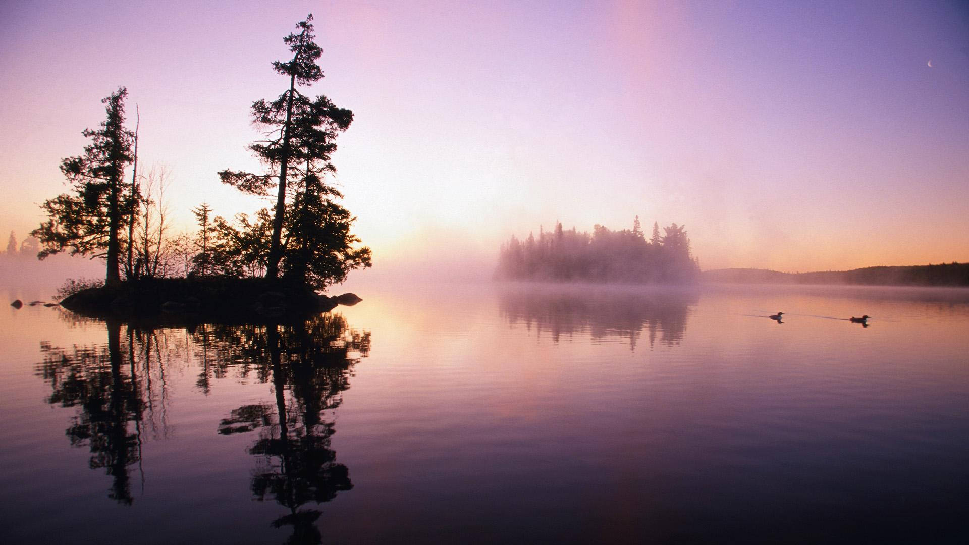 Eerie Minnesota Forest Lake