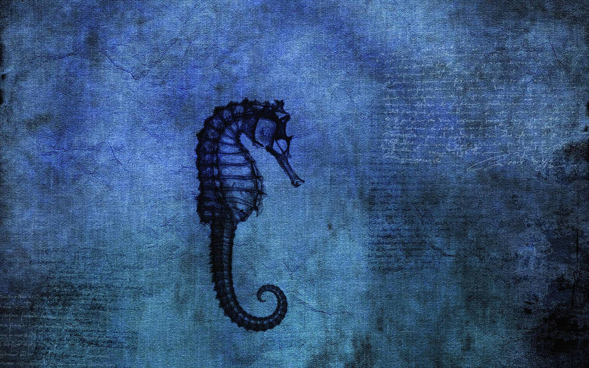Eerie Seahorse Illustration Wallpaper