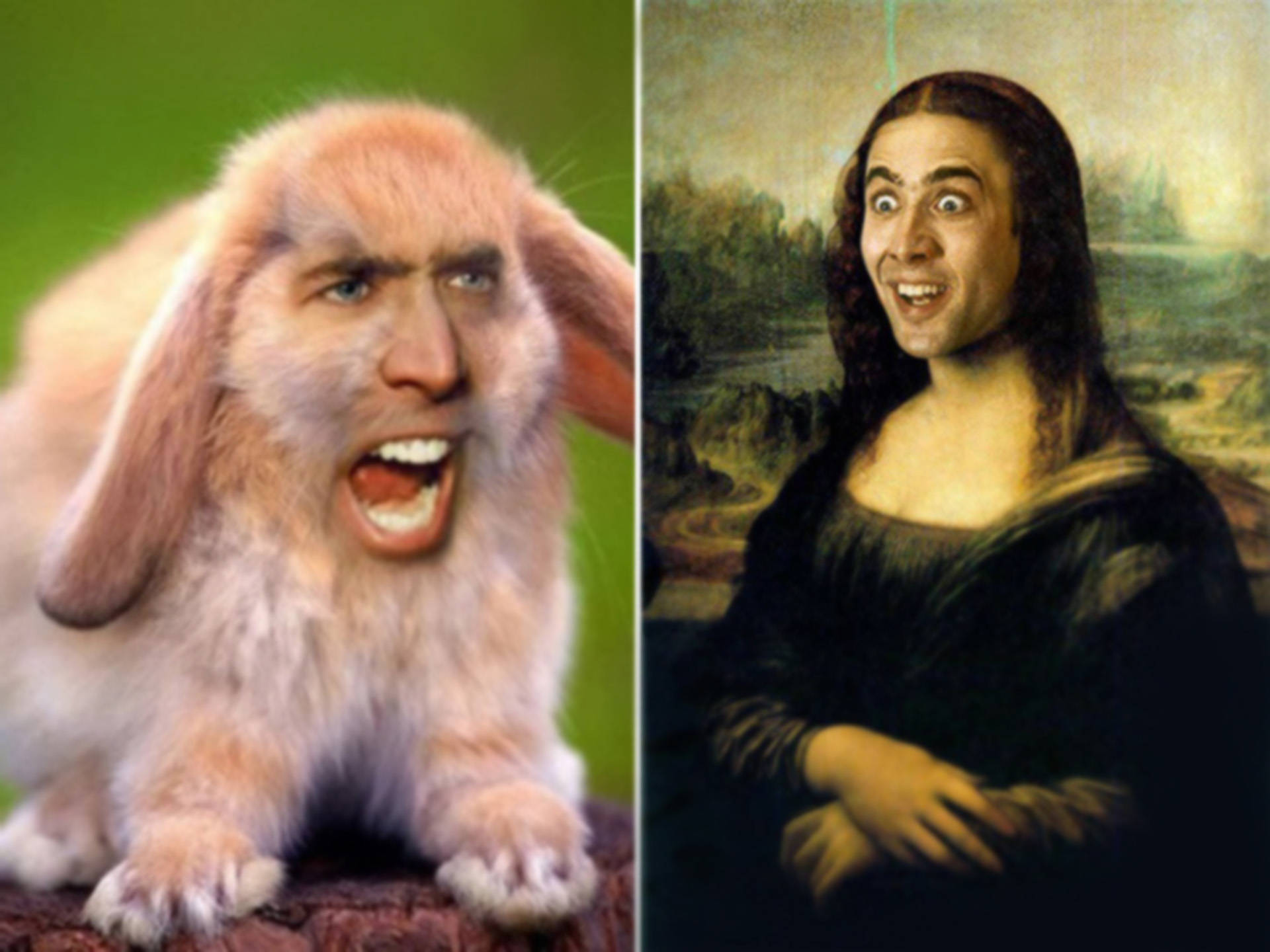 Eftertænksom Nicolas Cage Meme Wallpaper