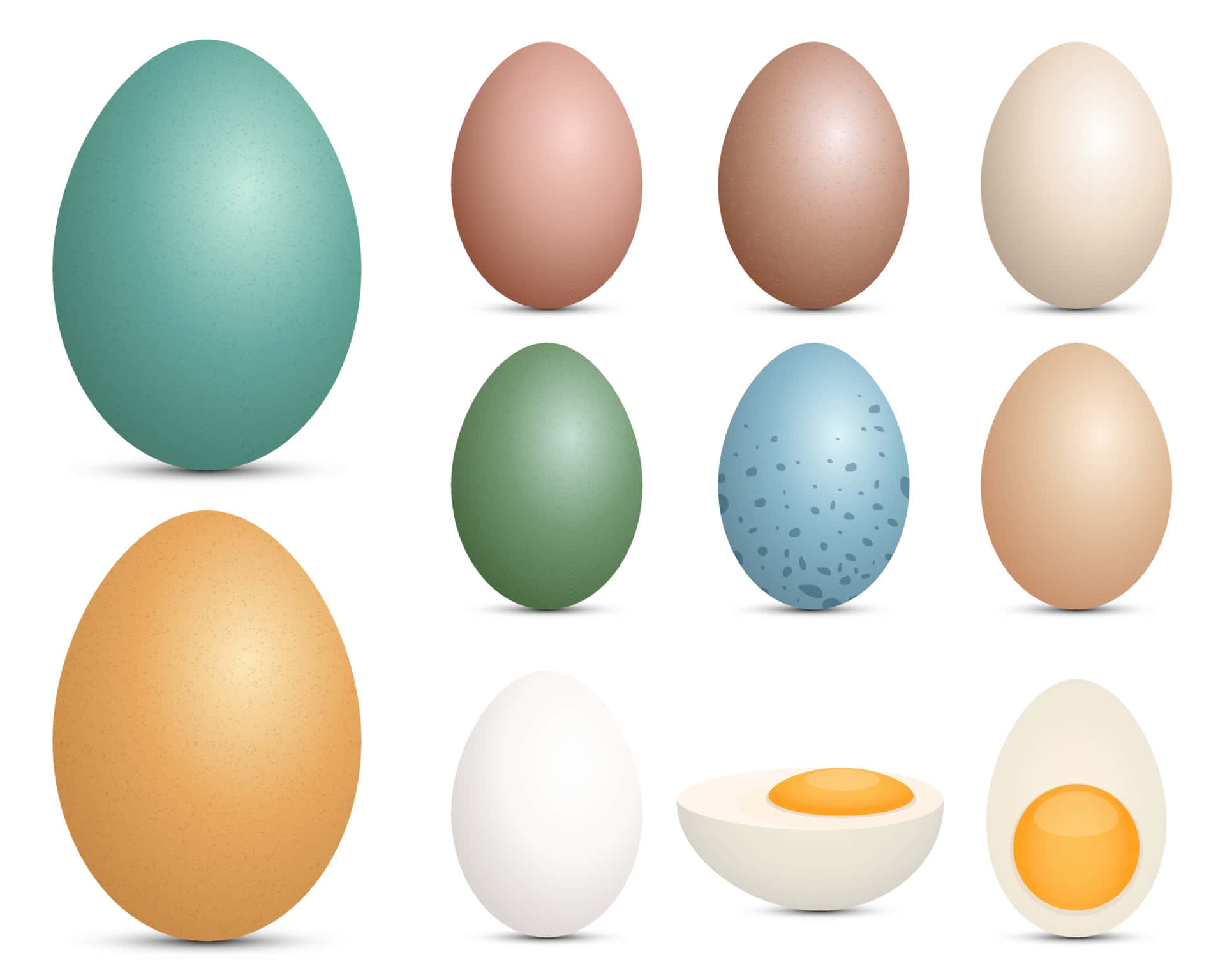 A Fresh, Brightly Colored Egg
