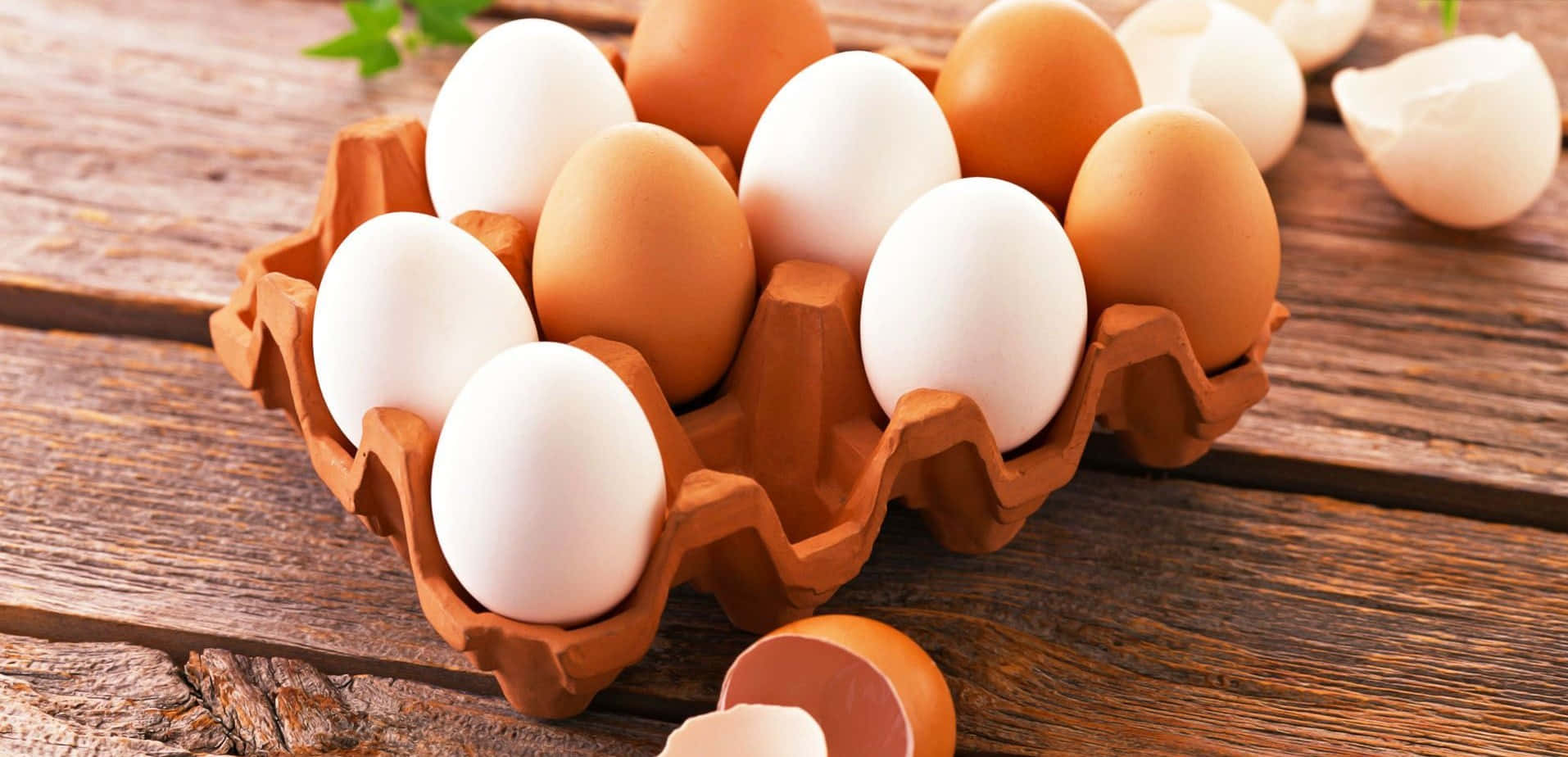 Unbrillante Tuorlo D'uovo Giallo Circondato Da Un Trasparente Albume D'uovo Bianco Puro