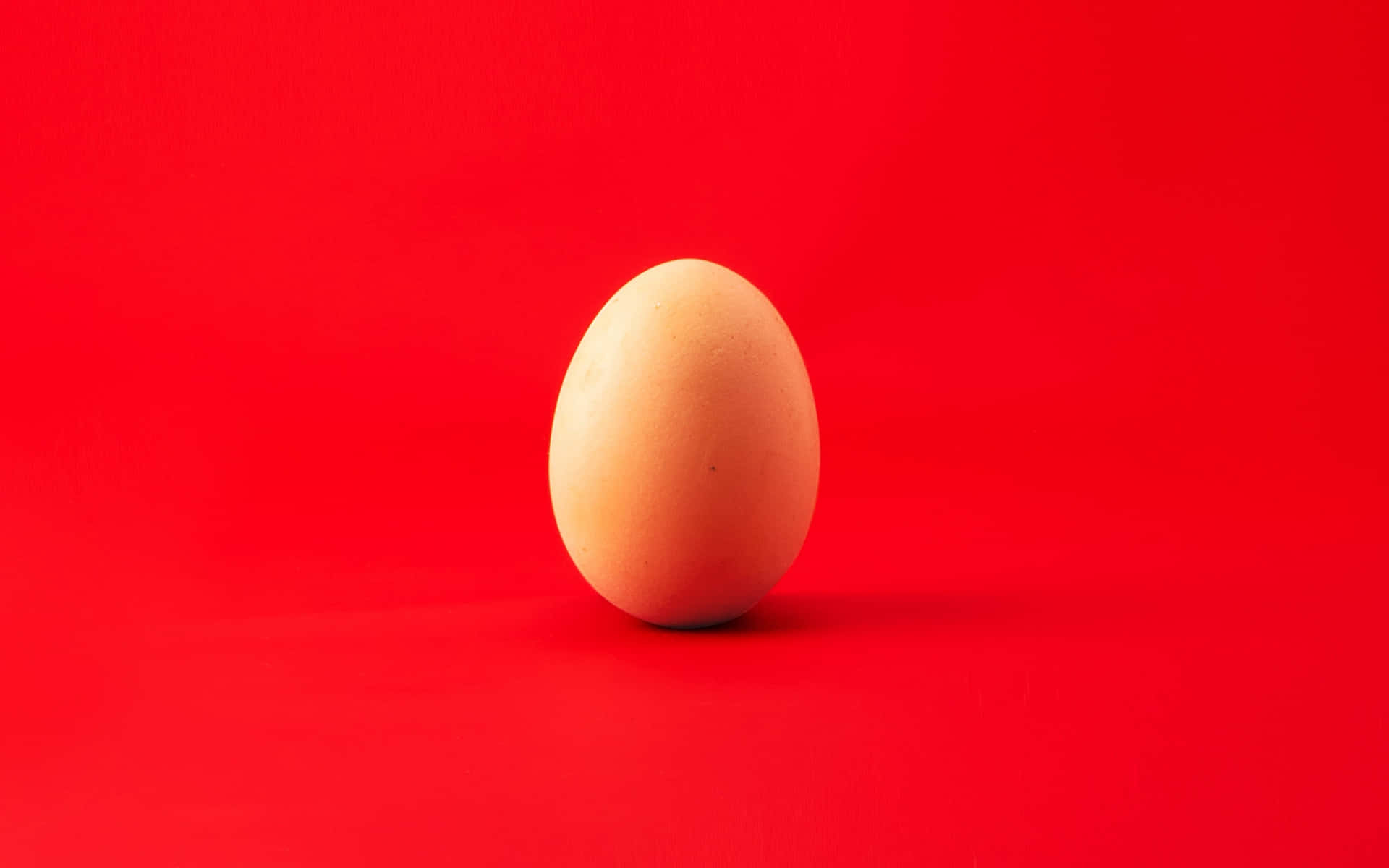 An Egg On A Red Background