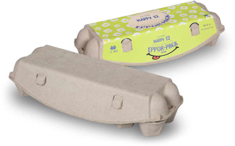 Egg Carton Packaging Design PNG