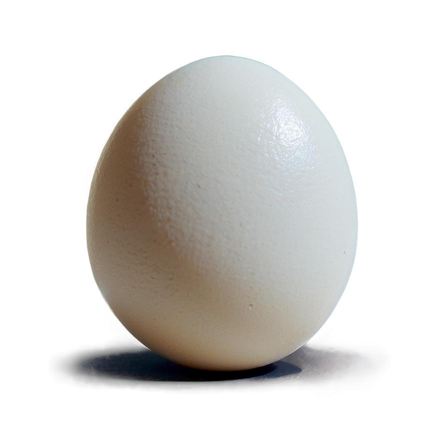 Download Egg Drawing Png 05242024 | Wallpapers.com