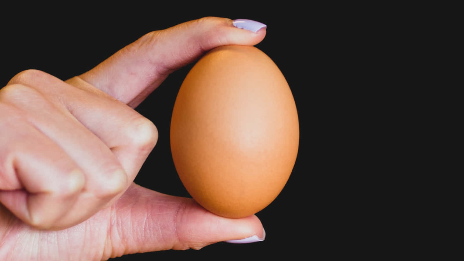 Kraftenhos Ett Enkelt Ägg