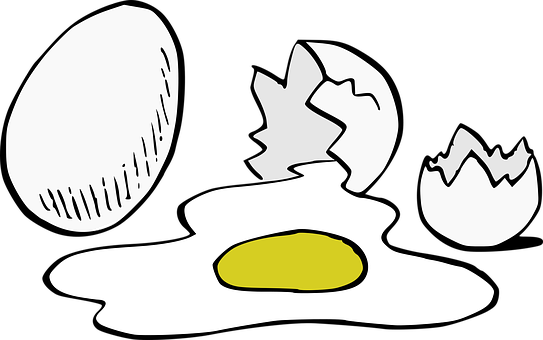 Egg Sequence Illustration PNG