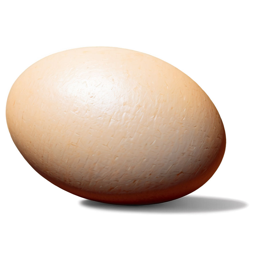 Egg Sketch Png Qbv11 PNG