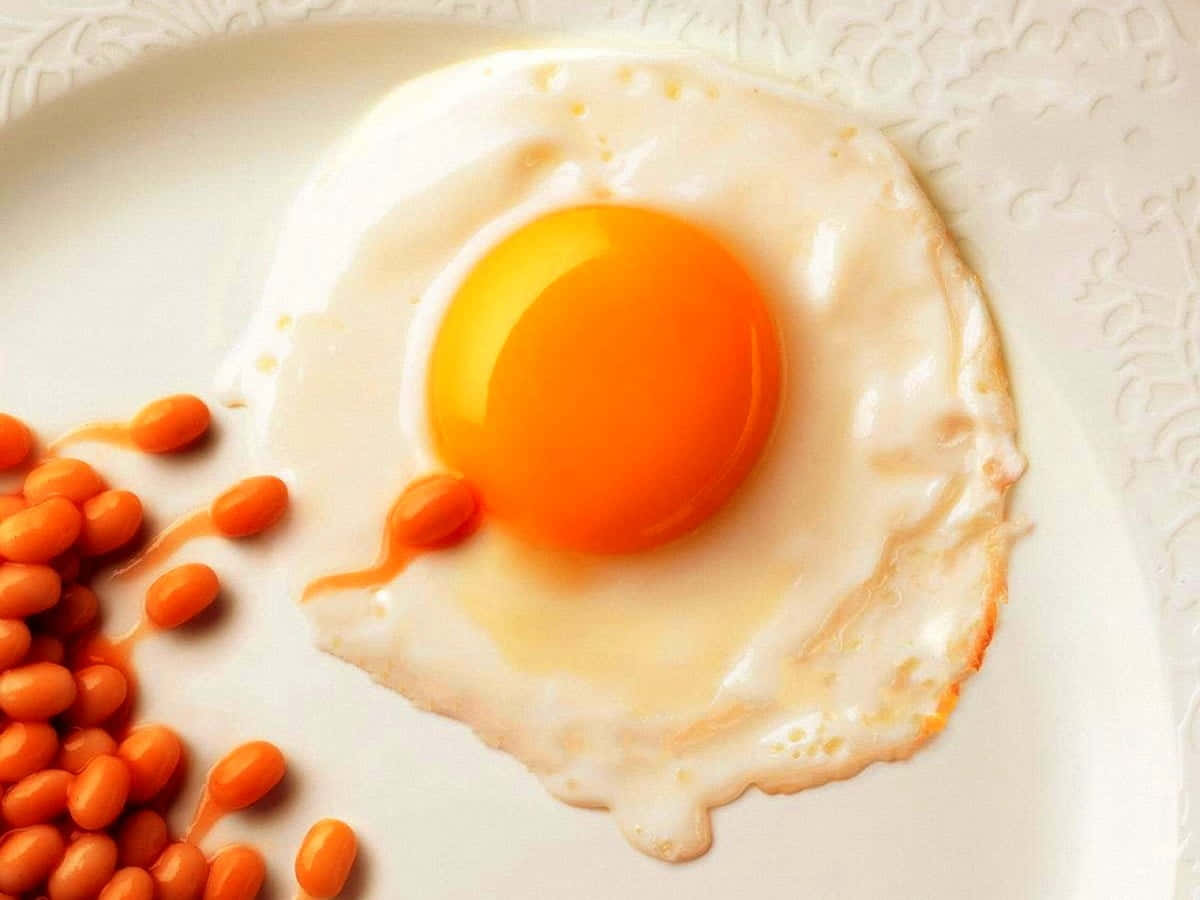 Delicious Egg White for Breakfast Wallpaper