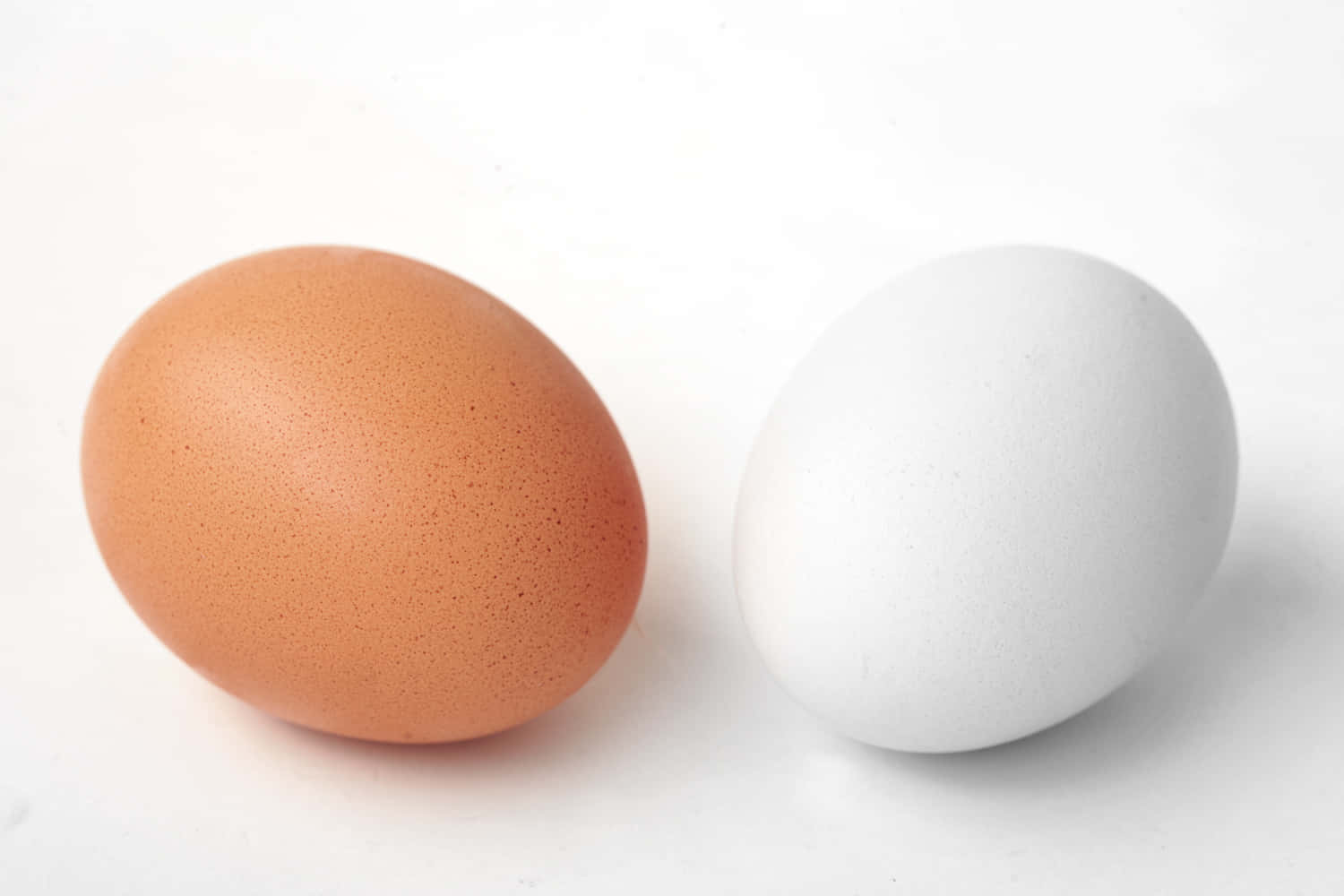Лапки яйцо. Яйцо куриное. Яйцо на белом фоне. Яйцо куриное на белом фоне. Белое яйцо на белом фоне.