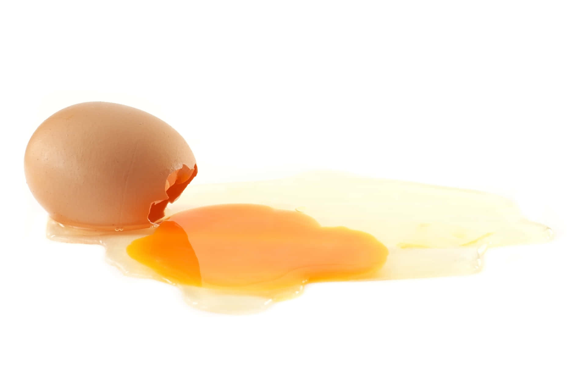 A Perfectly Cooked Egg White. Wallpaper