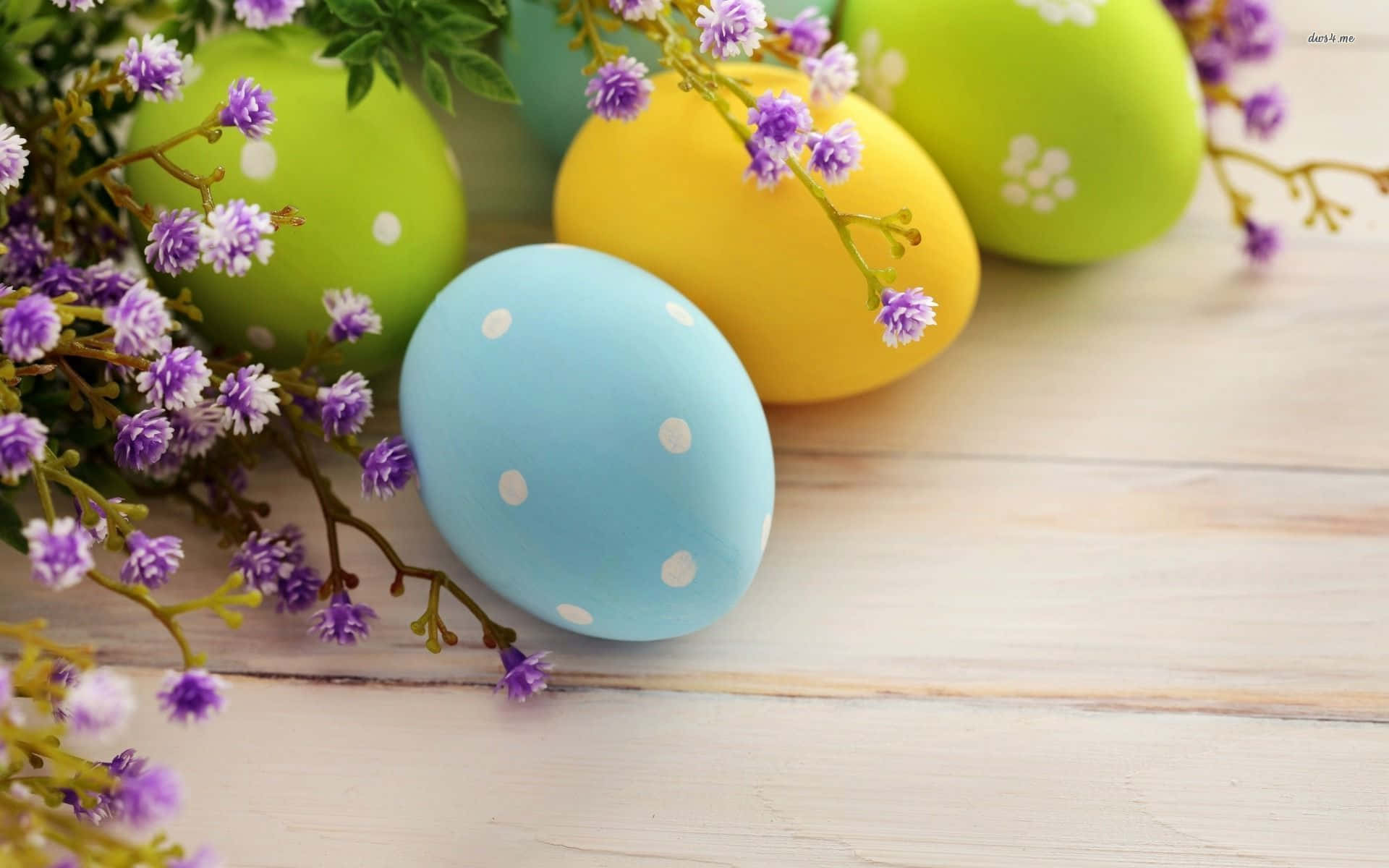 Download Different Types of Eggs | Wallpapers.com