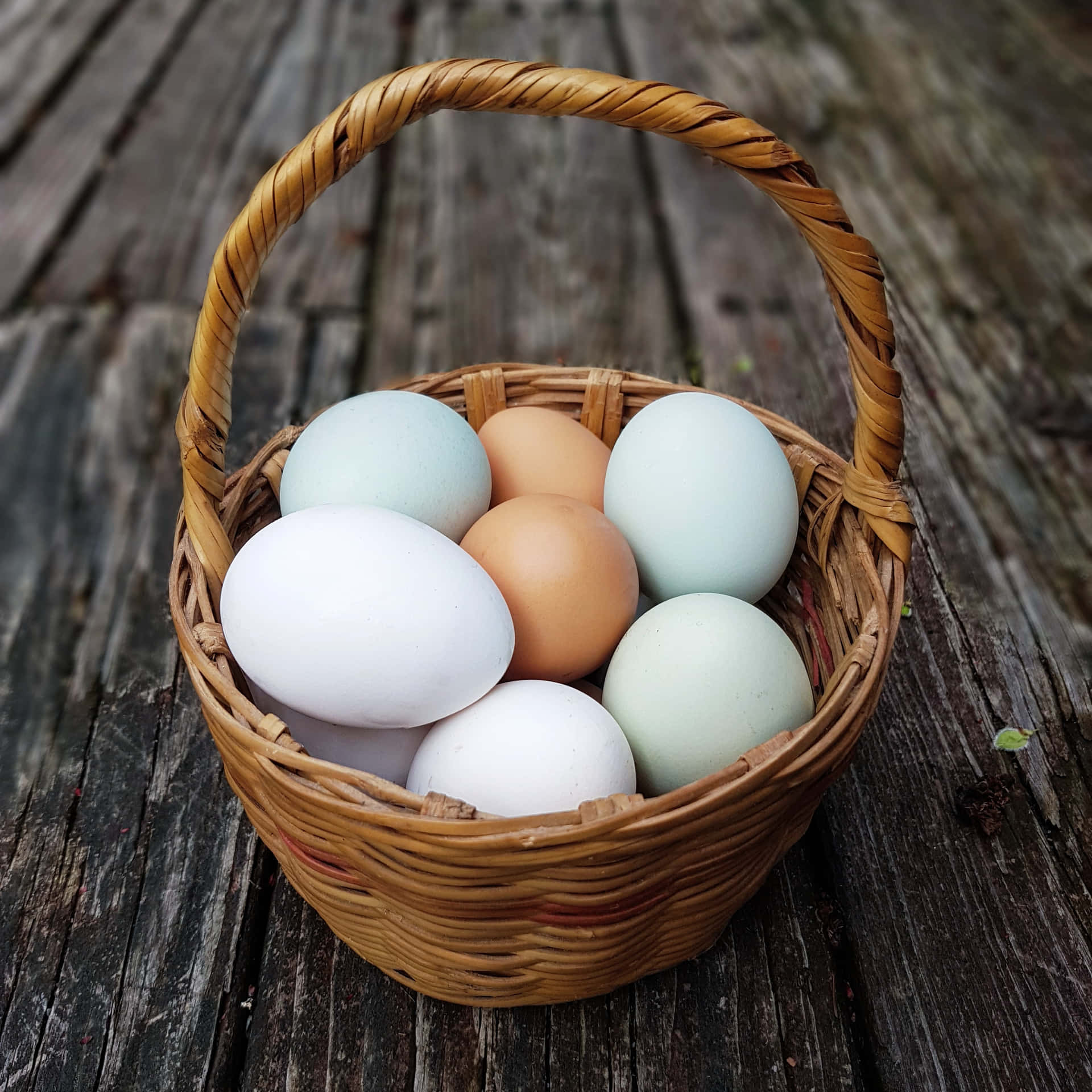 Frischebauern-eier Für Ein Köstliches Frühstück!