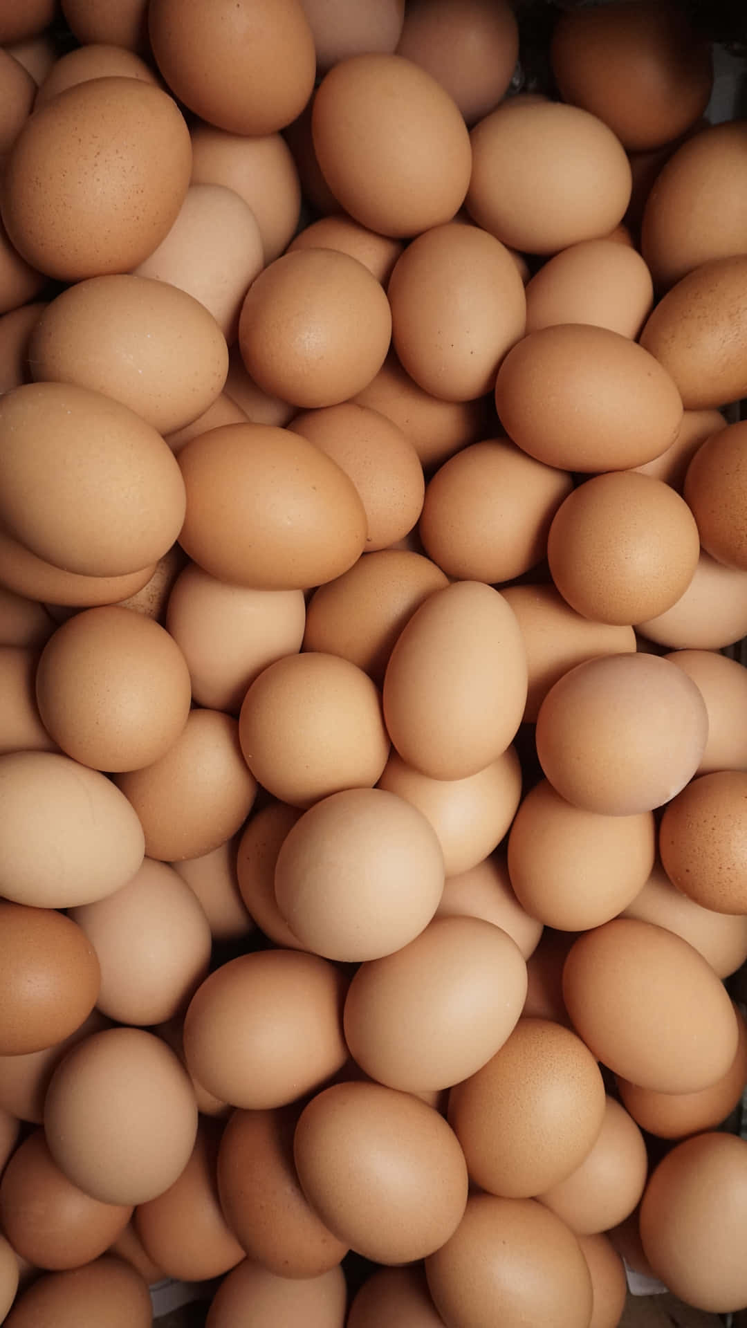 A Close Up Of A Bunch Of Brown Eggs