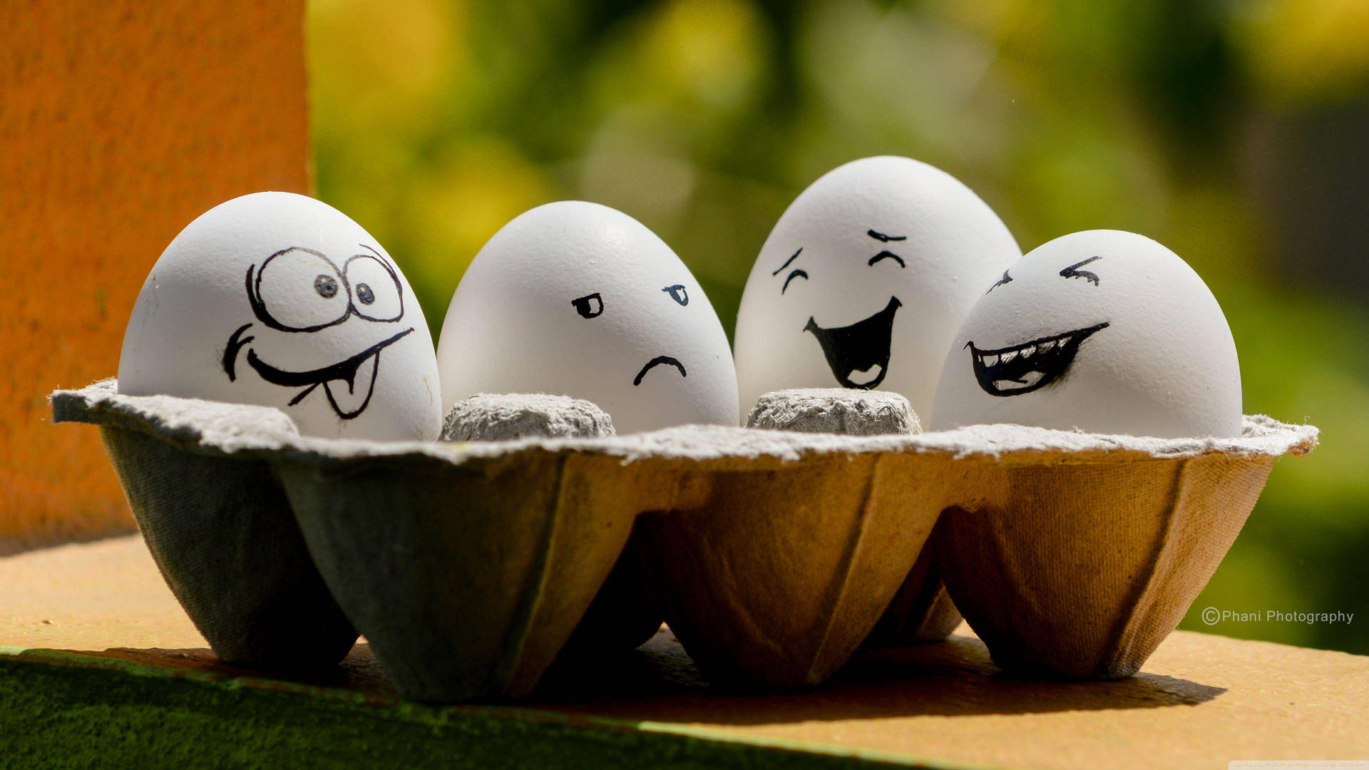 Eggs In A Tray With Cartoon Faces Wallpaper