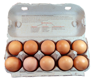 Eggsin Carton Top View PNG