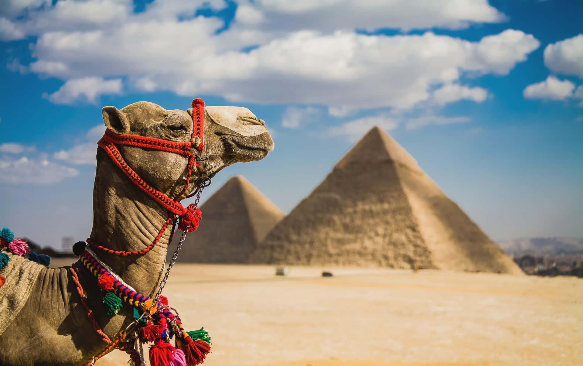 Stunning Giza Pyramids Against Egypt Skyline