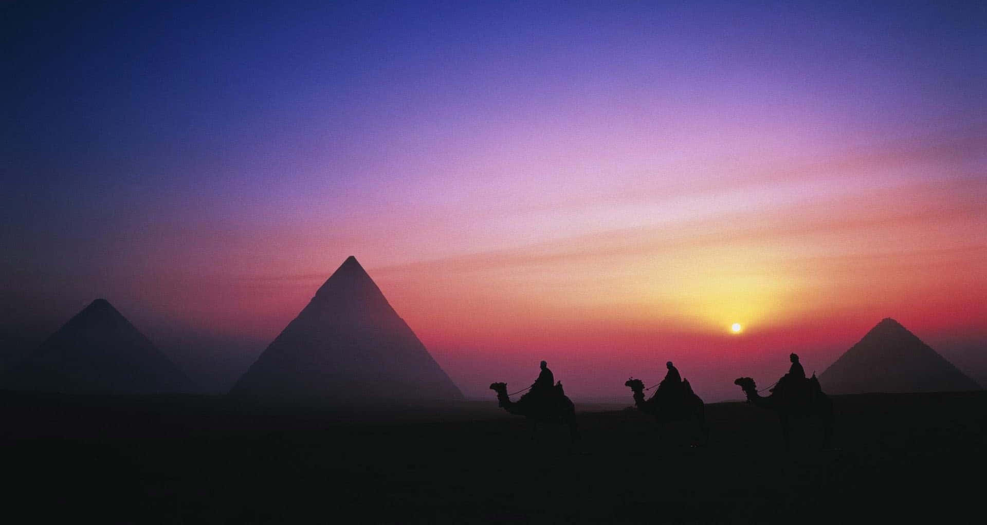 A Group Of Camels Are In Front Of The Pyramids At Sunset