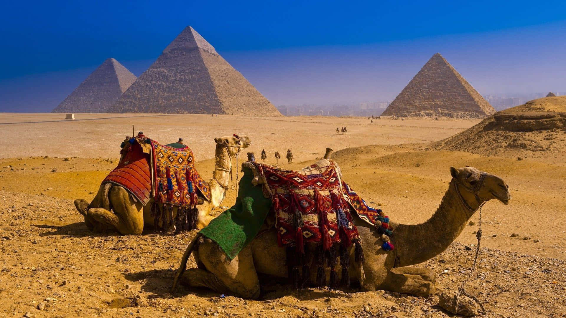 Guiade Viagem Egípcio - Pirâmides De Gizé