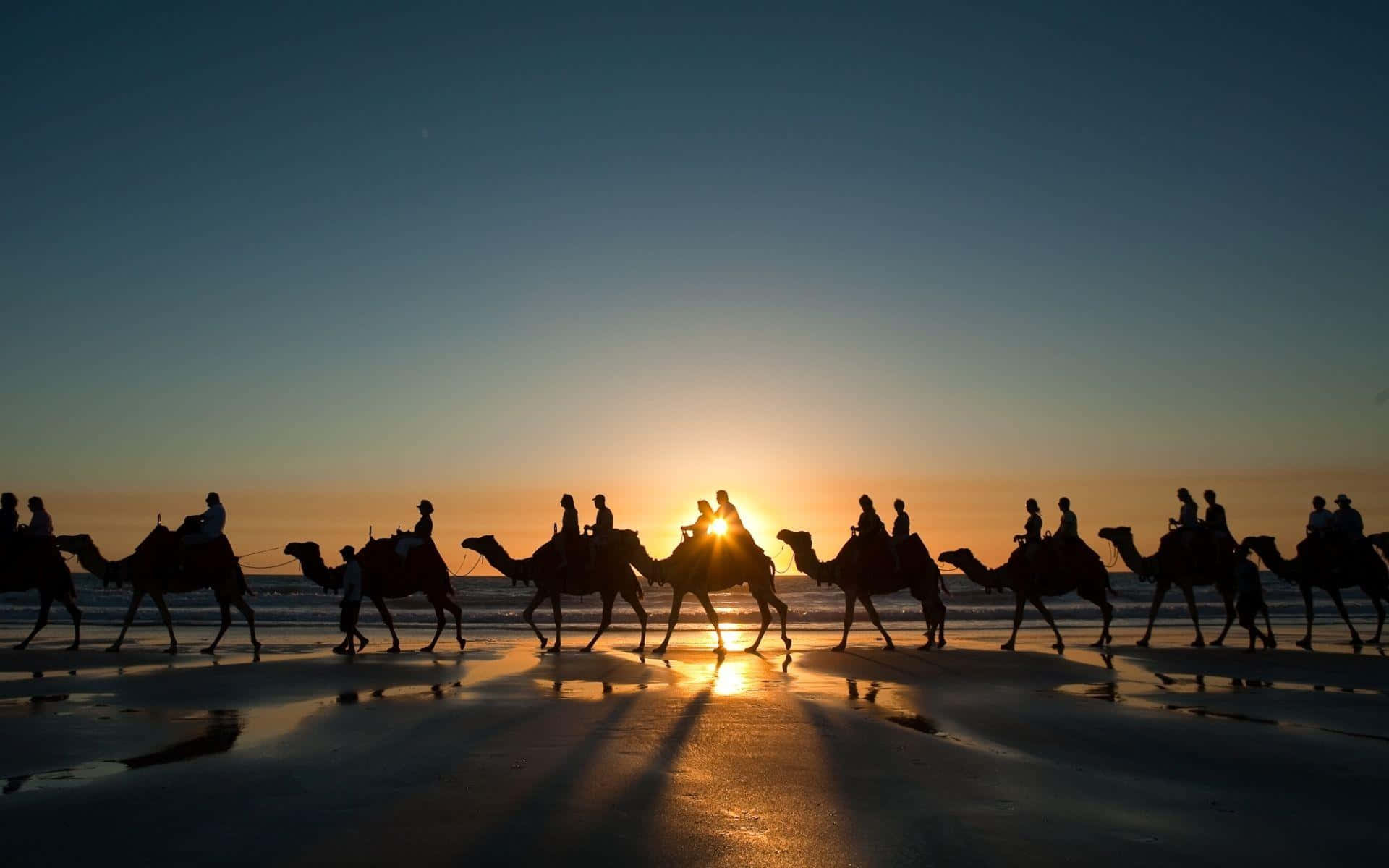 A Group Of People Riding Camels On The Beach At Sunset