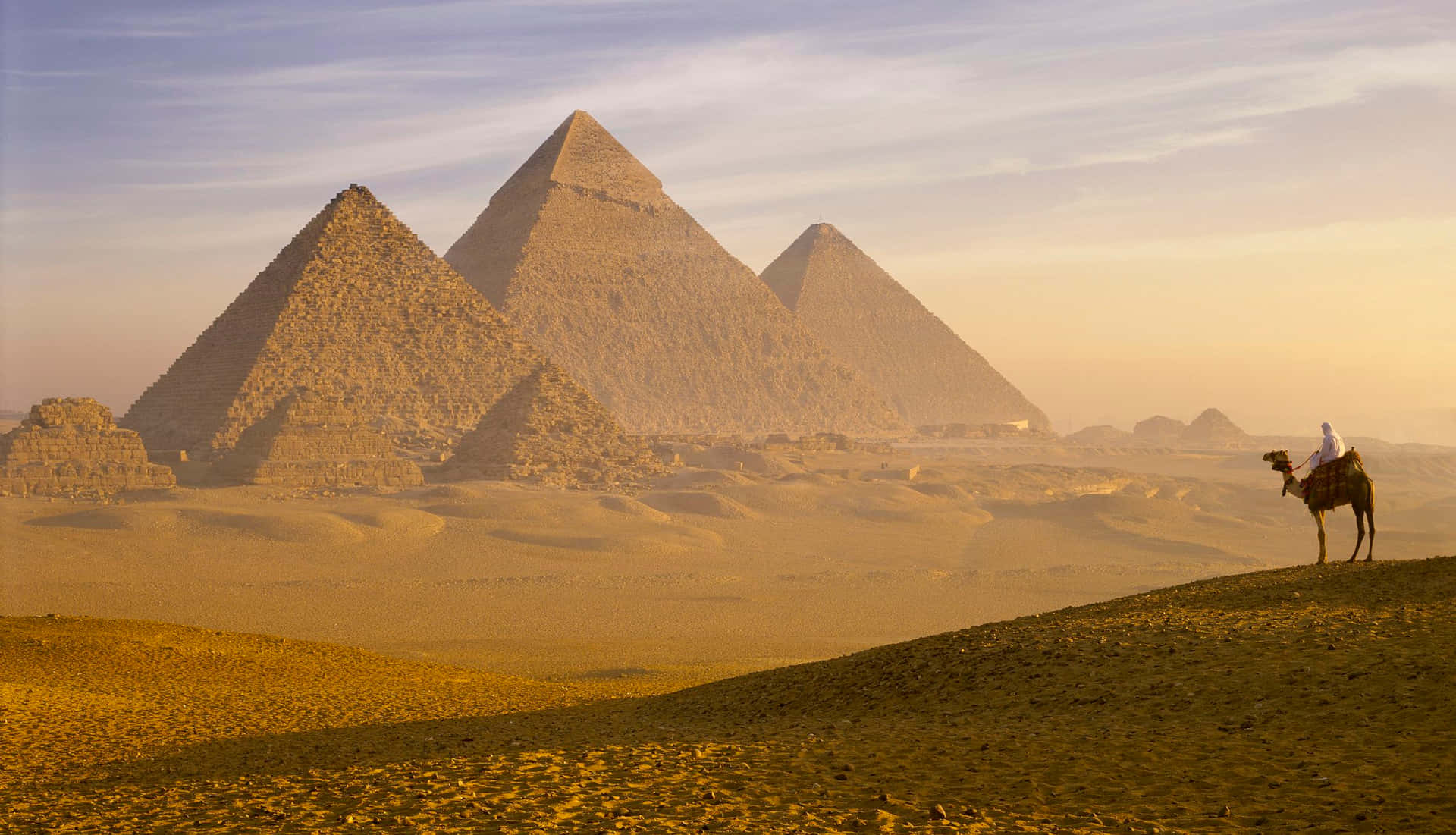 Uncammello Sta Cavalcando Nel Deserto Vicino Alle Piramidi.