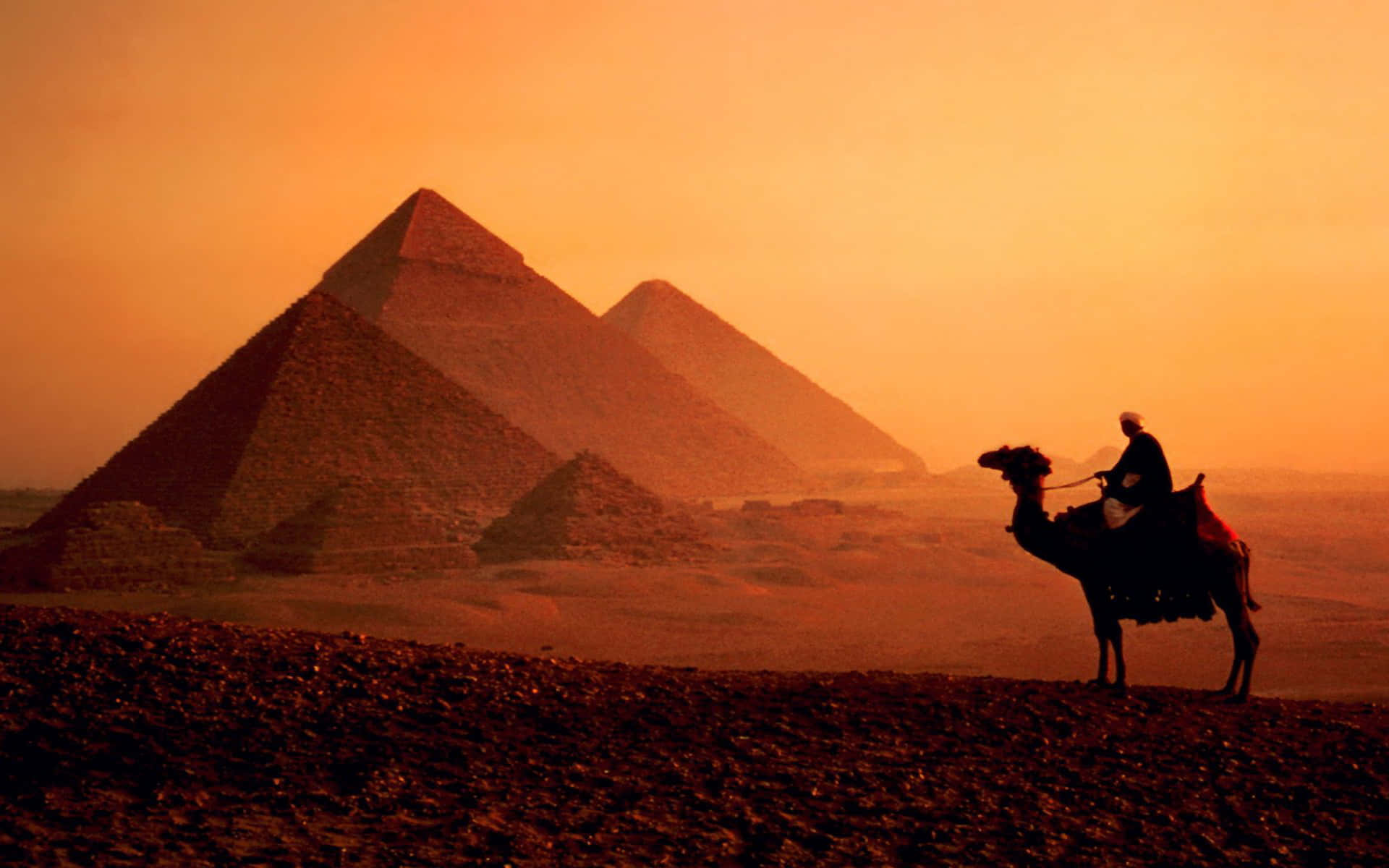 Personamontando En Camello Cerca De Las Pirámides En Un Fondo Egipcio.