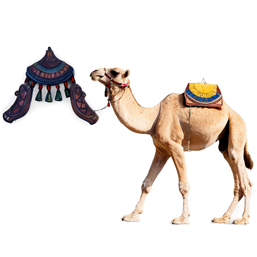 Download Egyptian Camel Png 05212024 | Wallpapers.com