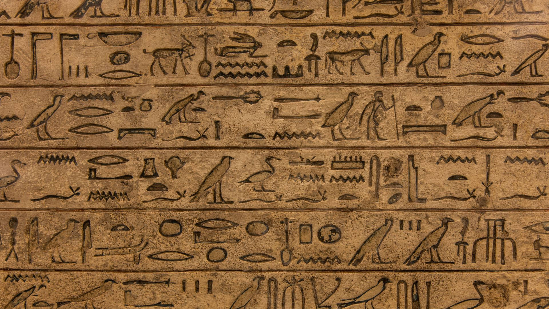 Egyptian Hieroglyphic Writing Picture