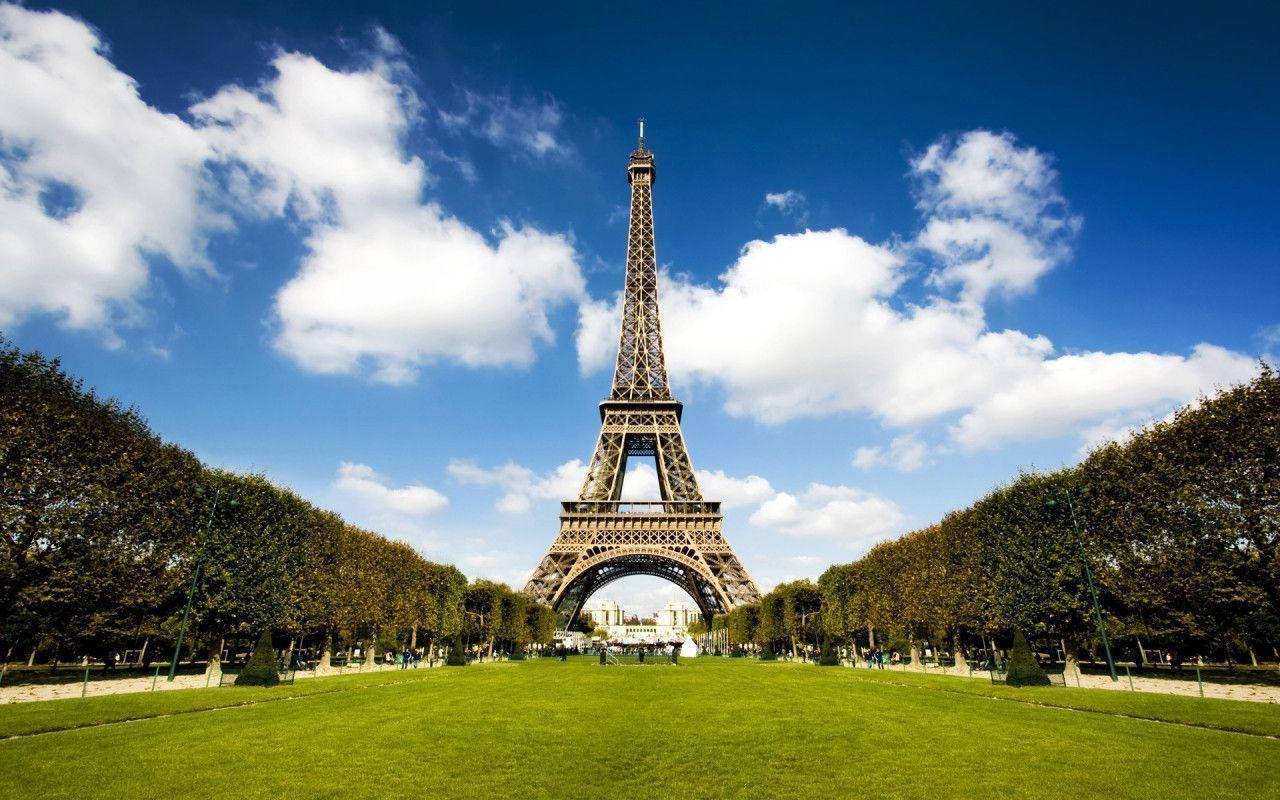 Torre Eiffel E Terreno Erboso Sfondo