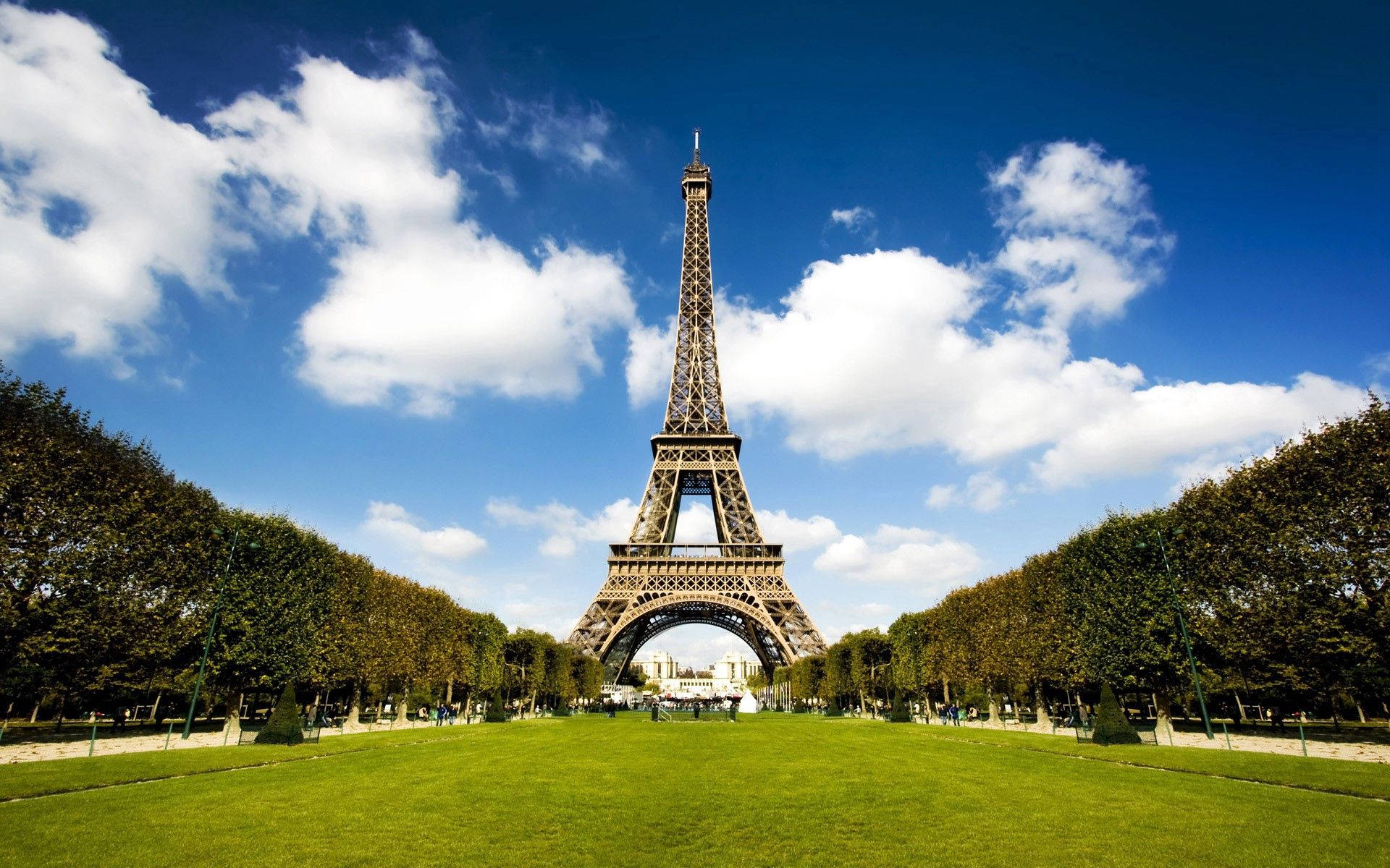 View of the Eiffel Tower from green Paris Wallpaper