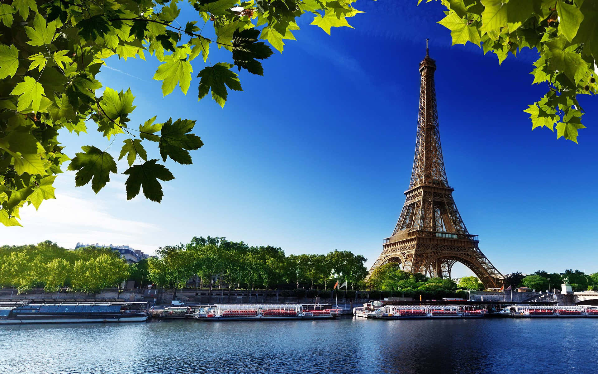An iconic view of Eiffel Tower from Trocadero Square.