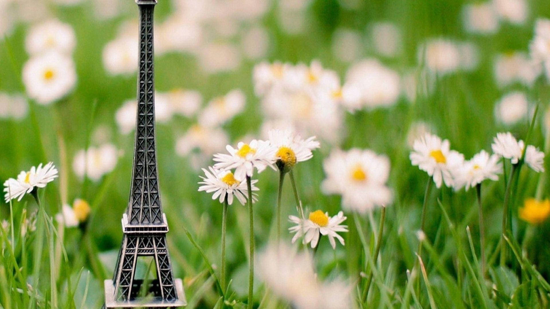 Eiffel Tower Spring Daisy Wallpaper