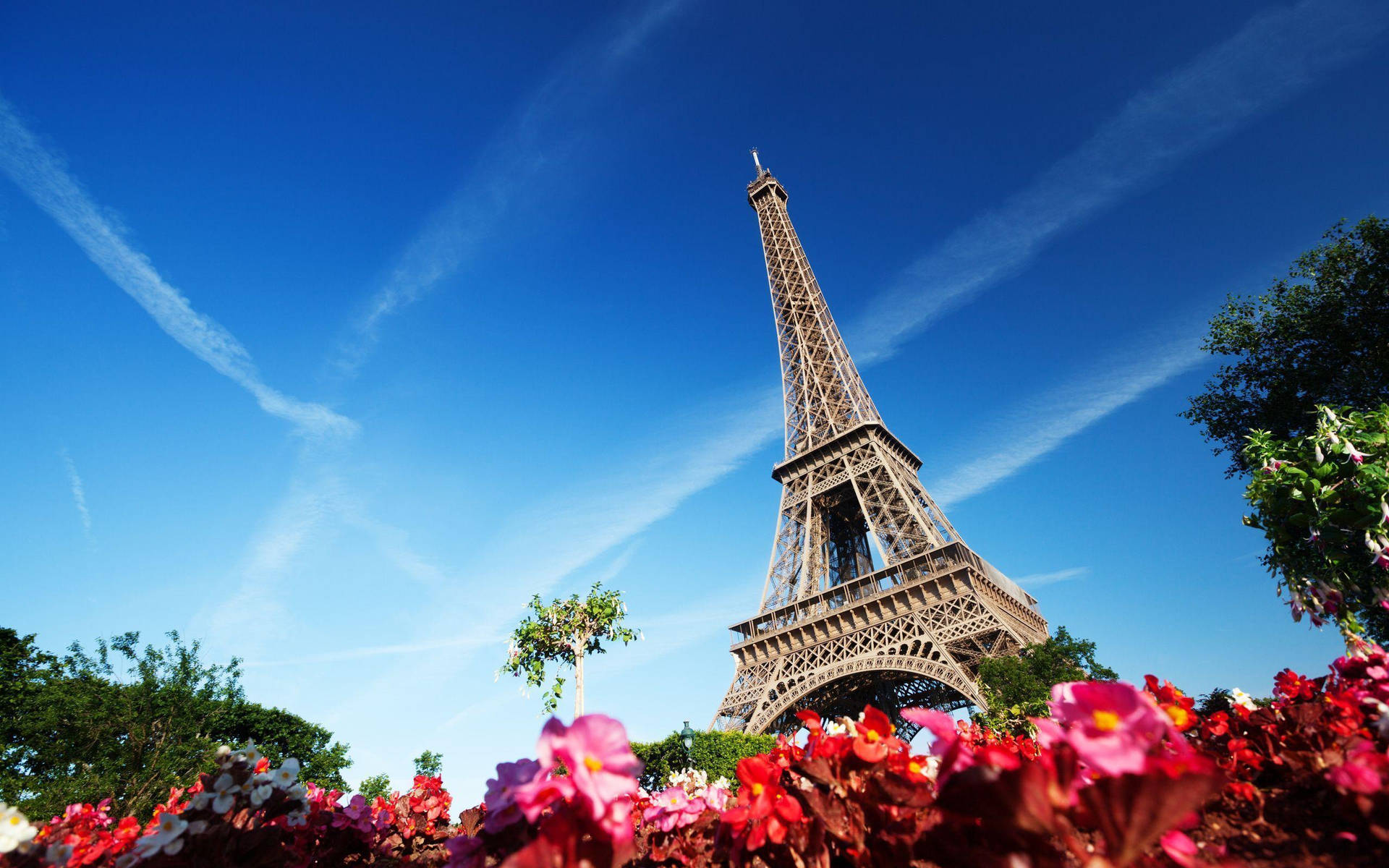 Eiffelturmmit Roten Blumen Wallpaper