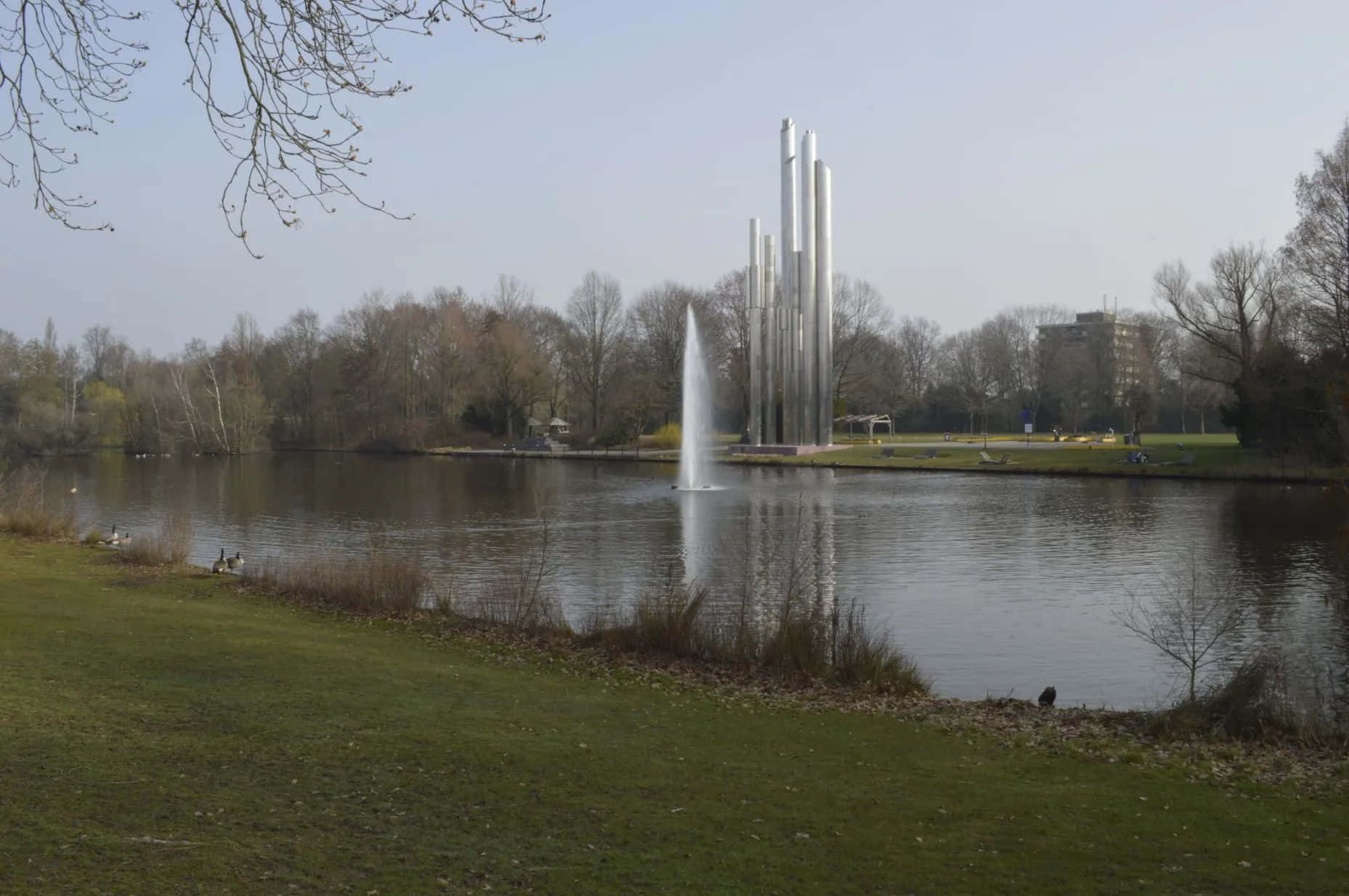 Eindhoven Park Lake Fountain Sculpture Wallpaper