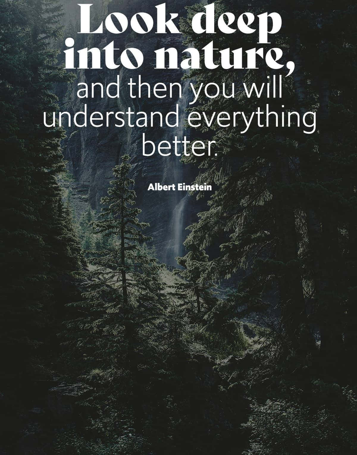 Einstein Nature Quote Forest Waterfall Wallpaper
