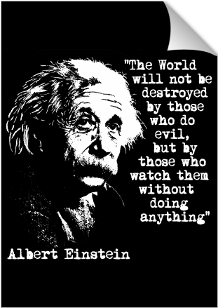 Einstein Quote World Evil Watchers PNG