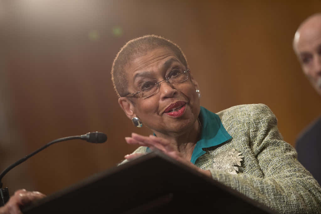 Eleanor Holmes Norton Photographed During Her Speech Wallpaper
