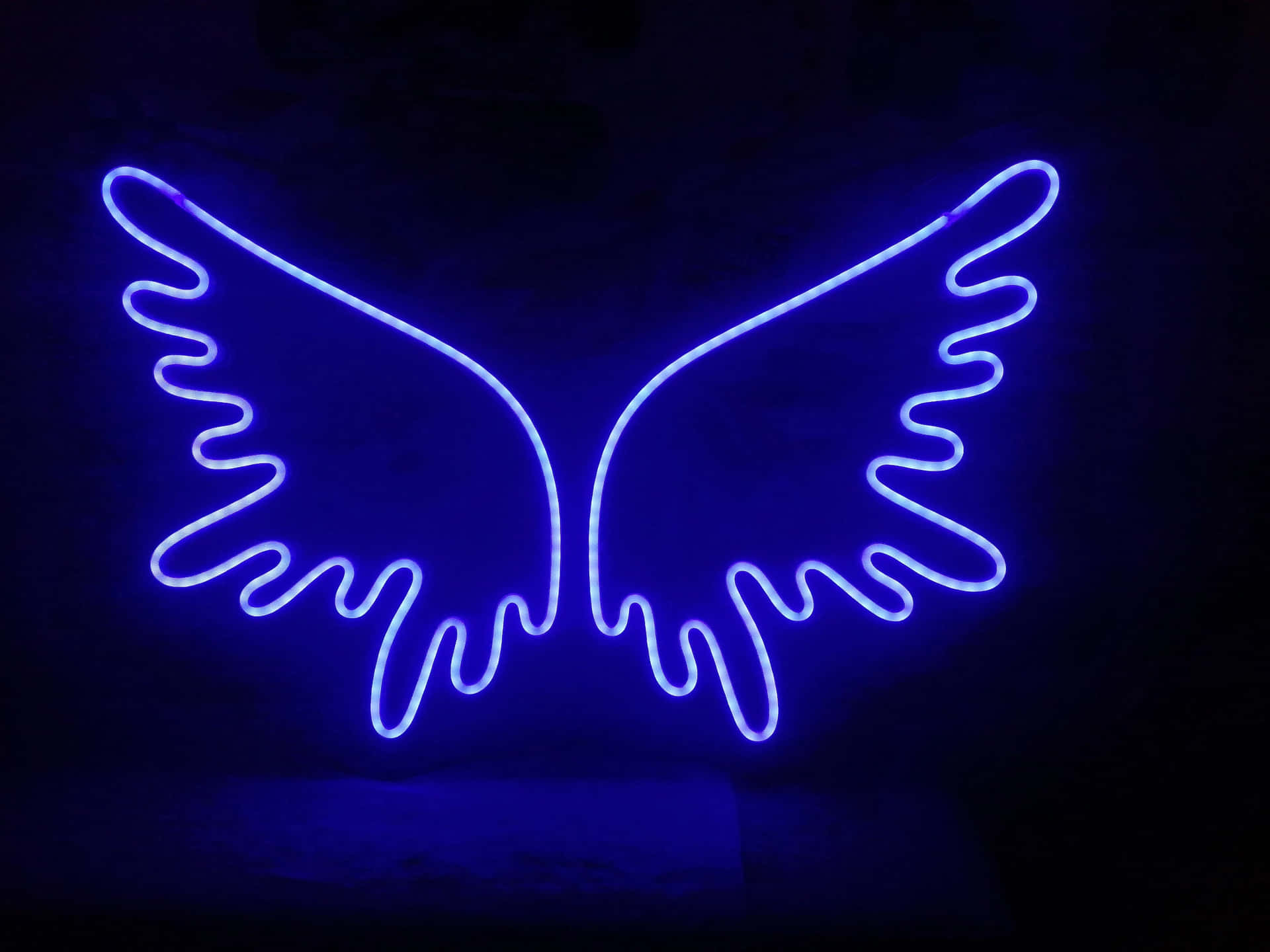 Electric Blue Neon Wings Wallpaper