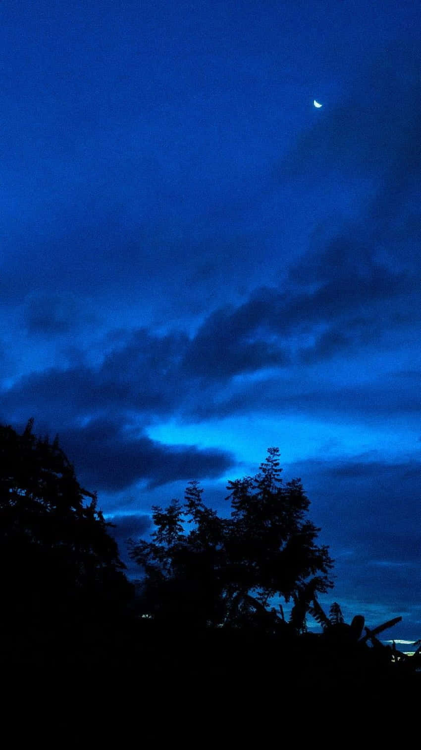 Electric Blue Night Sky Wallpaper