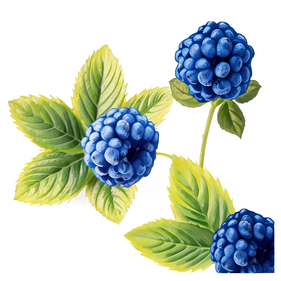 Electric Blue Raspberry Png Cmy PNG