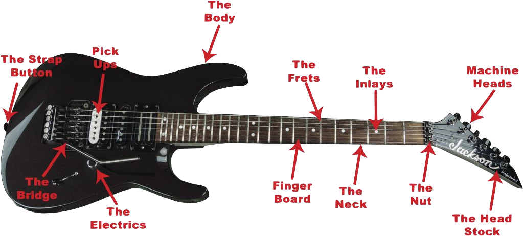 Electric Guitar Parts Identification PNG