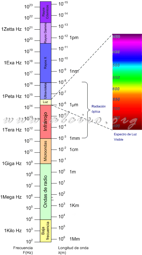 Electromagnetic Spectrum Chart PNG — Infographic chart showing electromagnetic spectrum with frequency and wavelength scales alongside visible light color gradient.