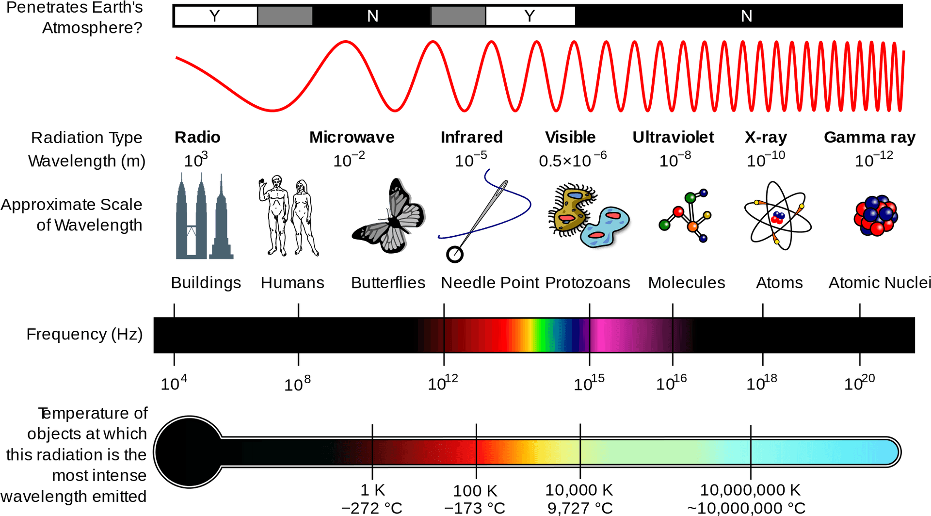 Electromagnetic Spectrum Overview PNG