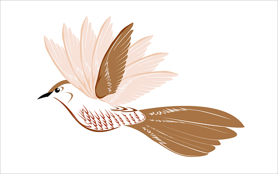 Elegant Bird Illustration PNG
