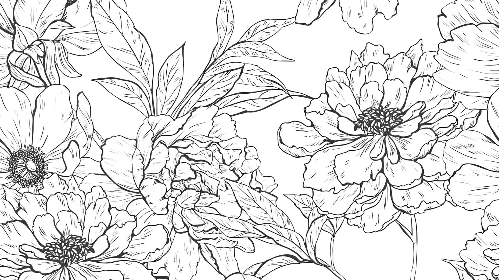 Floral Elegante En Blanco Y Negro Fondo de pantalla