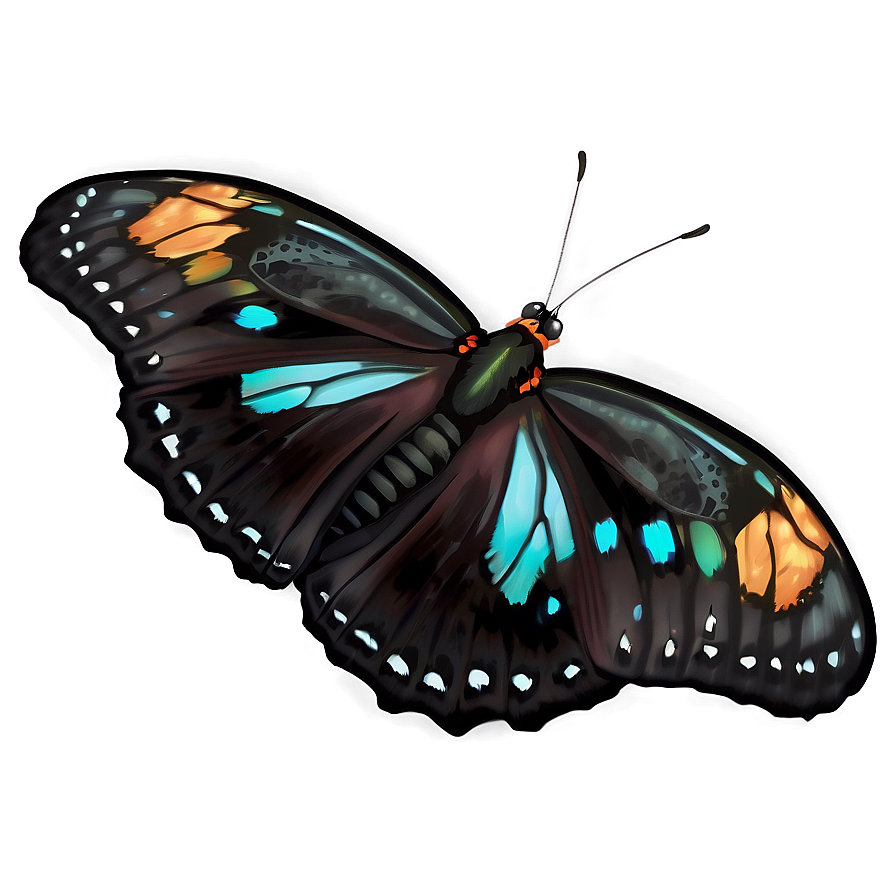 Elegant Black Butterfly Art Png Gvf PNG