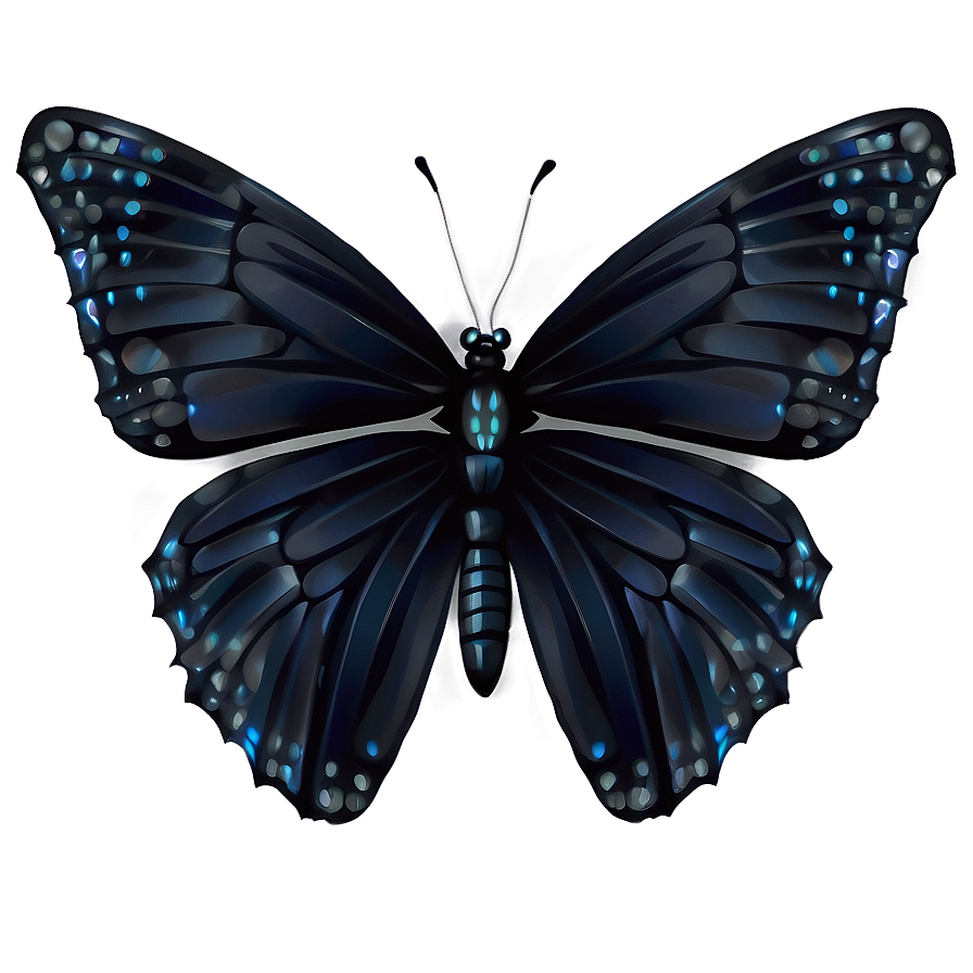 Elegant Black Butterfly Art Png Smj PNG