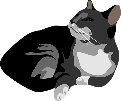 Elegant Black Cat Illustration PNG