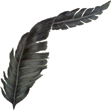 Elegant Black Feather Art.png PNG