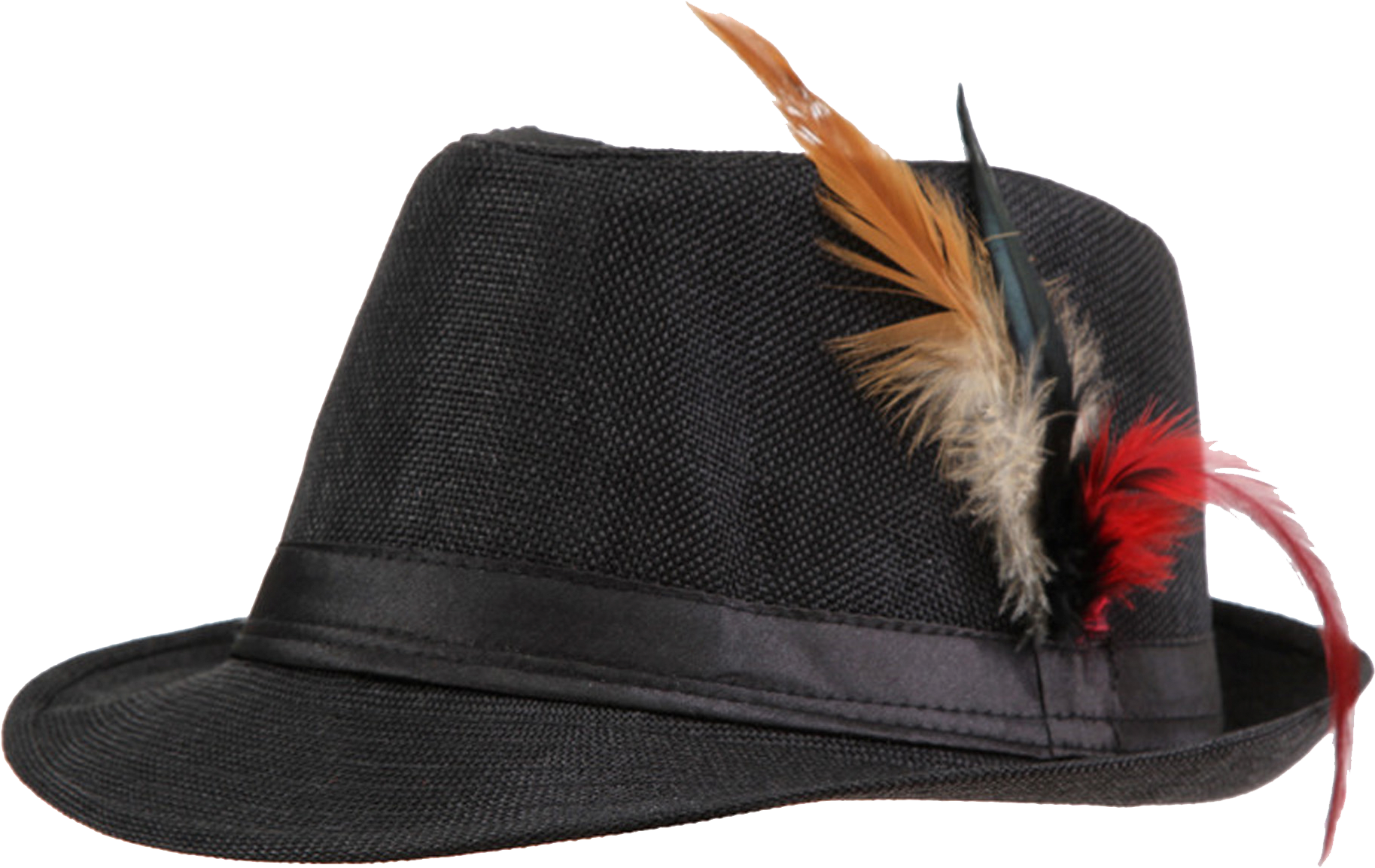 Elegant Black Fedora Hatwith Feathers PNG